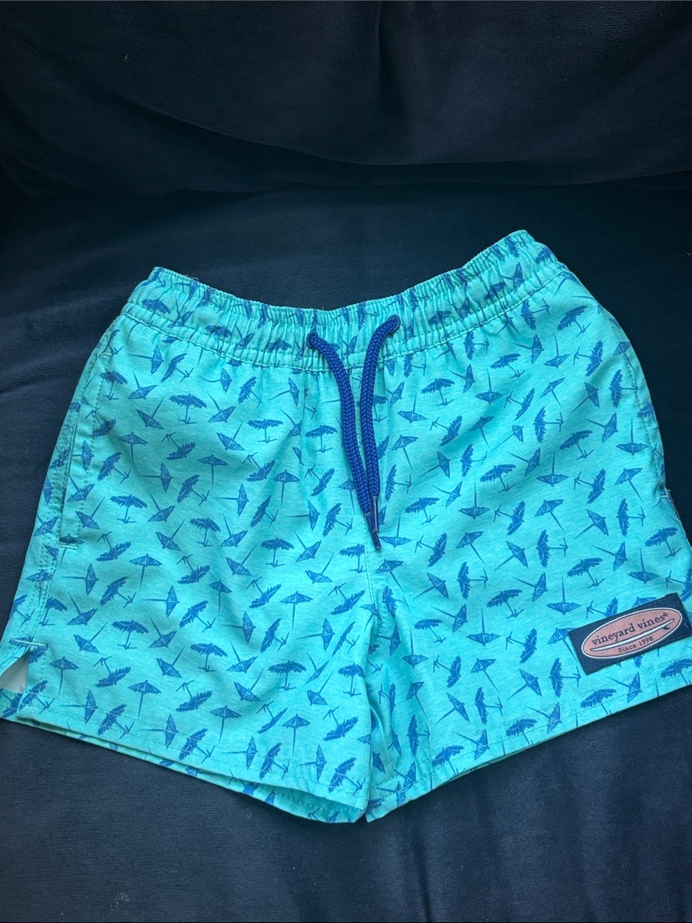 Vineyard Vines Tiki Umbrella Blue Little Boy Bathing Suit Size 4T